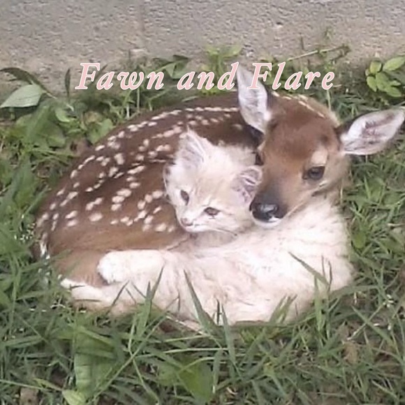 fawnandflare